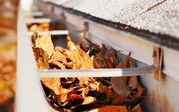 Debdale gutter cleaning companies