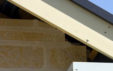 soffit repair Debdale